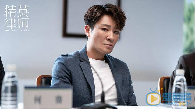 精英律师主演阵容有谁？主要讲述了什么故事？