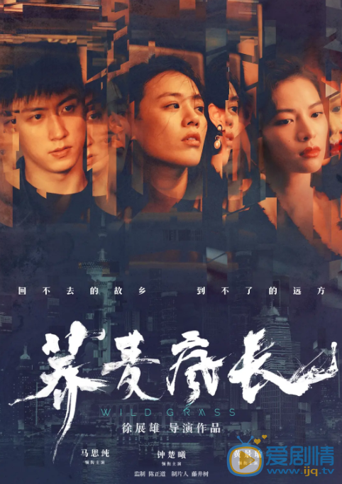 荞麦疯长海报