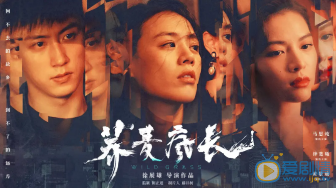 荞麦疯长电影剧情介绍 荞麦疯长电影海报