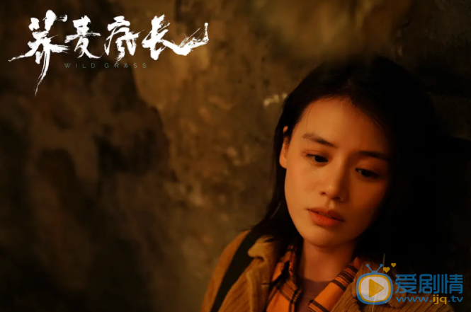 荞麦疯长剧情介绍 荞麦疯长剧照