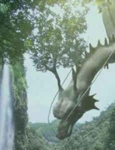 为什么不敢公开发现龙？不敢公开发现龙真实的渡劫事件