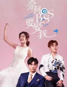 奈何boss要娶我2是根据小说改编的吗？改编自什么小说？