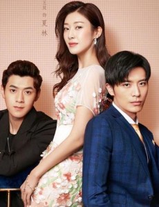 奈何boss要娶我2夏林怀孕生子 夏林失忆是怎么回事？