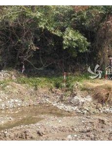 吴诗卉事件始末大揭秘 轮奸杀害抛尸荒野
