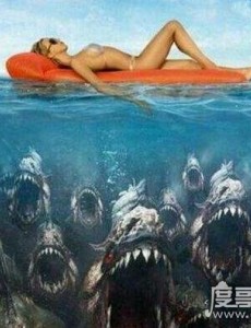 深海100000米以下生物都有哪些？