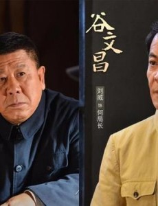 电视剧谷文昌主要讲述的是什么？