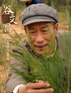 《谷文昌》什么时候开播？每天更新几集？
