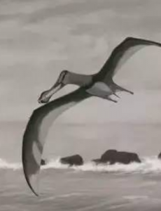 宇宙十大恐怖生物分别是什么？