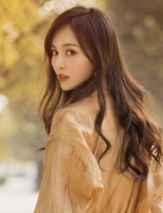电视剧寻找美好人生主要讲述的是什么？