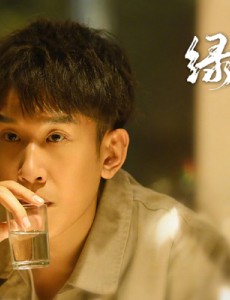 绿水青山带笑颜沈欢歌扮演者是谁？沈欢歌结局是什么？