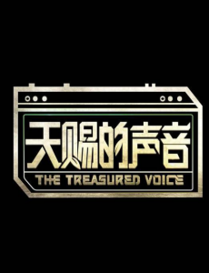 天赐的声音全集在线观看，天赐的声音免费完整版高清视频播放