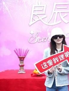 良辰美景好时光主要讲述的是什么？