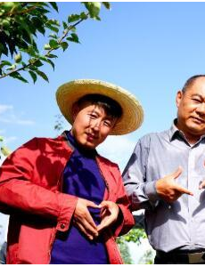 电视剧一个都不能少发生在哪里？