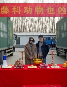 藤科动物也凶猛首次聚焦留学题材 深入探讨当下“留学热”