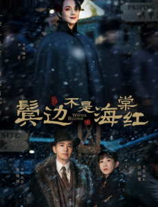 鬓边不是海棠红48集全集在线观看，鬓边不是海棠红免费完整版高清视频播放