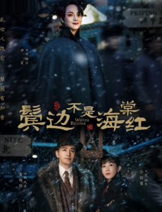 鬓边不是海棠红小说简介？和电视剧差很多吗？