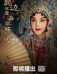 鬓边不是海棠红商细蕊和多少人睡过？