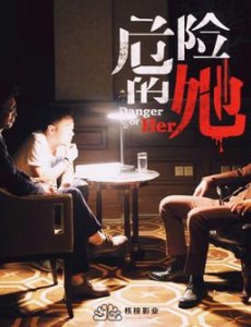 危险的她是根据小说改编的吗？改编自什么小说？