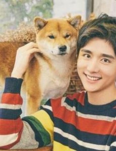 让全世界都听见大结局是什么？