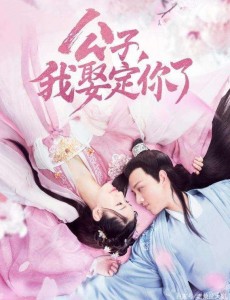 《公子，我娶定你了》男主酷似任嘉伦 剧情新颖圈粉无数