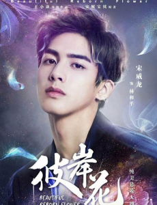电视剧彼岸花为什么还不播出？