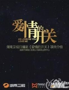 爱情的开关主要讲述的是什么？