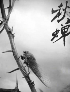 琉璃美人煞66集全集在线观看，琉璃美人煞完整版免费高清视频播放