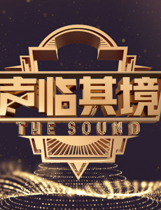 《声临其境3》肖央配音功底不俗，让人惊讶不已？