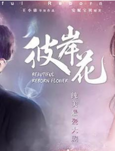 彼岸花为什么还不播出？