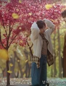 韩剧the king 永远的君主在线观看 the king 永远的君主百度云16集全集播放