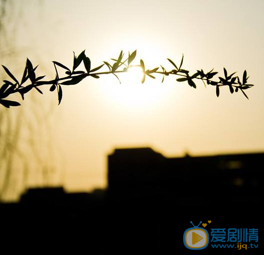 TIM截图20200406181634