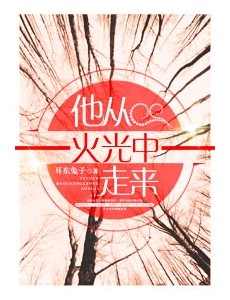 他从火光中走来主要讲述的是什么？