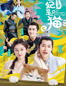 报告王爷王妃是只猫12集全集高清完整版免费在线观看