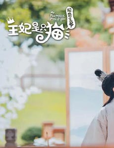 报告王爷王妃是只猫主要讲述的剧情是什么？大结局是怎么样的？