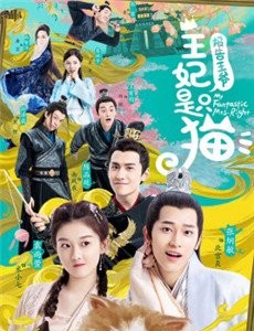报告王爷王妃是只猫电视剧演员表角色人物介绍