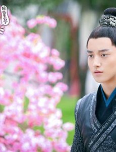 报告王爷王妃是只猫什么时候上映？一共有几集？在哪个平台上播出？
