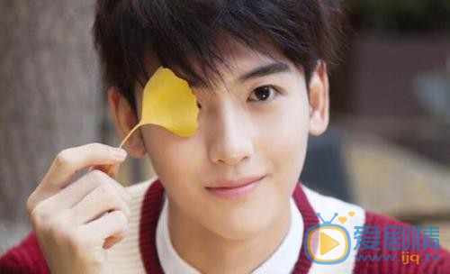 原来你是这样的顾先生剧情介绍 剧情简介 1 30集 电视剧 爱剧情