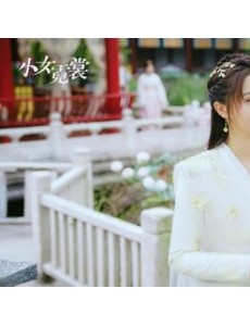 小女霓裳主要讲述的剧情是什么？大结局是怎么样的？