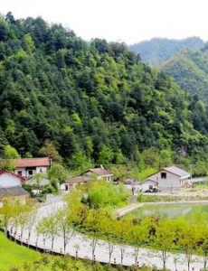我的金山银山