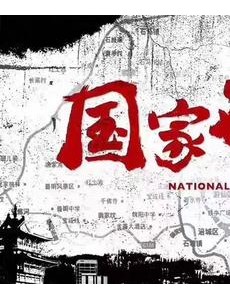 国家行动是根据小说改编的吗？改编自什么原著小说？