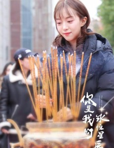 电视剧你是我的永恒星辰什么时候上映？一共有几集？在哪个平台上播出？
