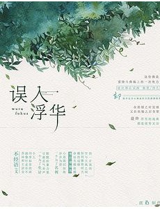 误入浮华是根据小说改编的吗？改编自什么原著小说？