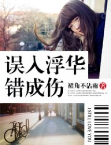 电视剧误入浮华免费观看 误入浮华全集完整版无删减在线播放