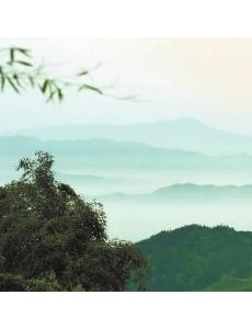 电视剧我的金山银山免费观看 我的金山银山全集完整版无删减在线播放