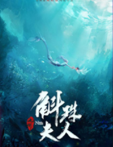 斛珠夫人是根据小说改编的吗？改编自什么原著小说？