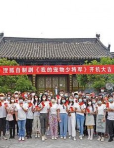 我的宠物少将军电视剧演员表角色人物介绍
