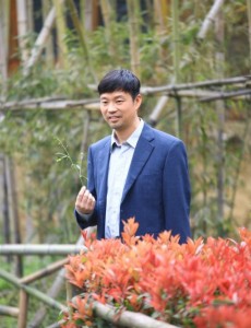 免费在线播放电视剧完整版花繁叶茂全集在线观看