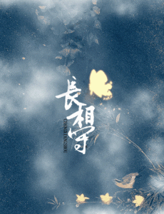 电视剧长相守免费观看 长相守全集完整版无删减在线播放
