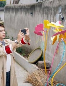 电视剧不信蜜糖便信盐什么时候上映？一共有几集？在哪个平台上播出？