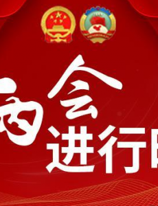 建议建立未成年人收养举报通道，保护被收养人身心健康的情况